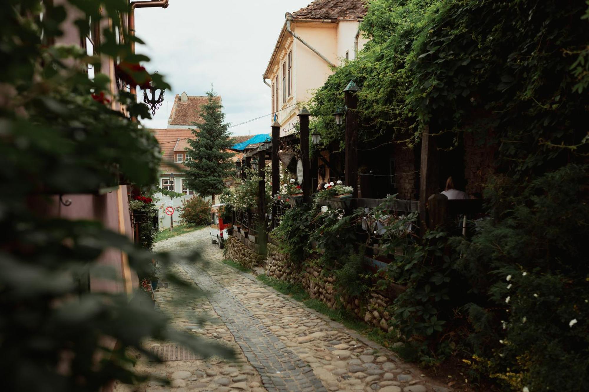 Apartament Casa Leonhardt Sighișoara Zewnętrze zdjęcie